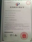 專利技術(shù)