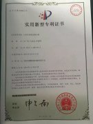 專利技術(shù)